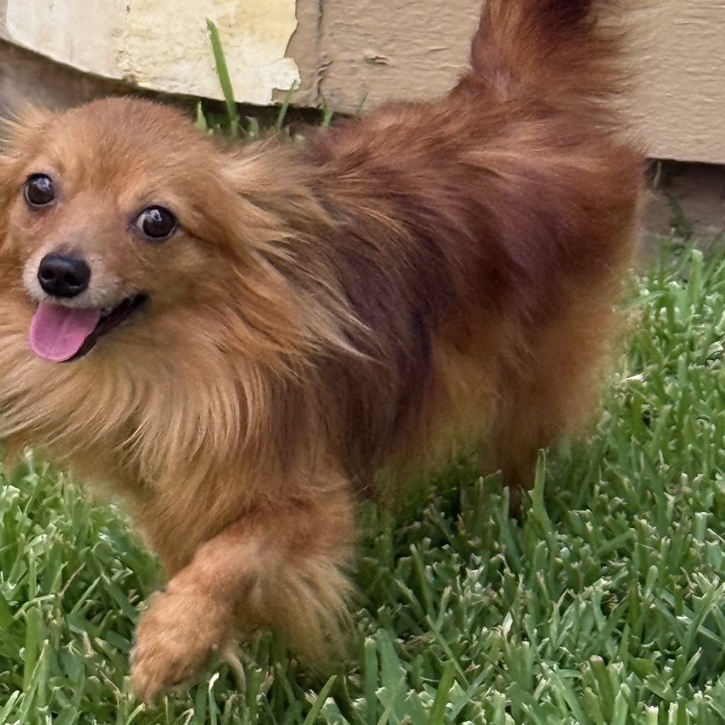 Kody, photo 1 of 3