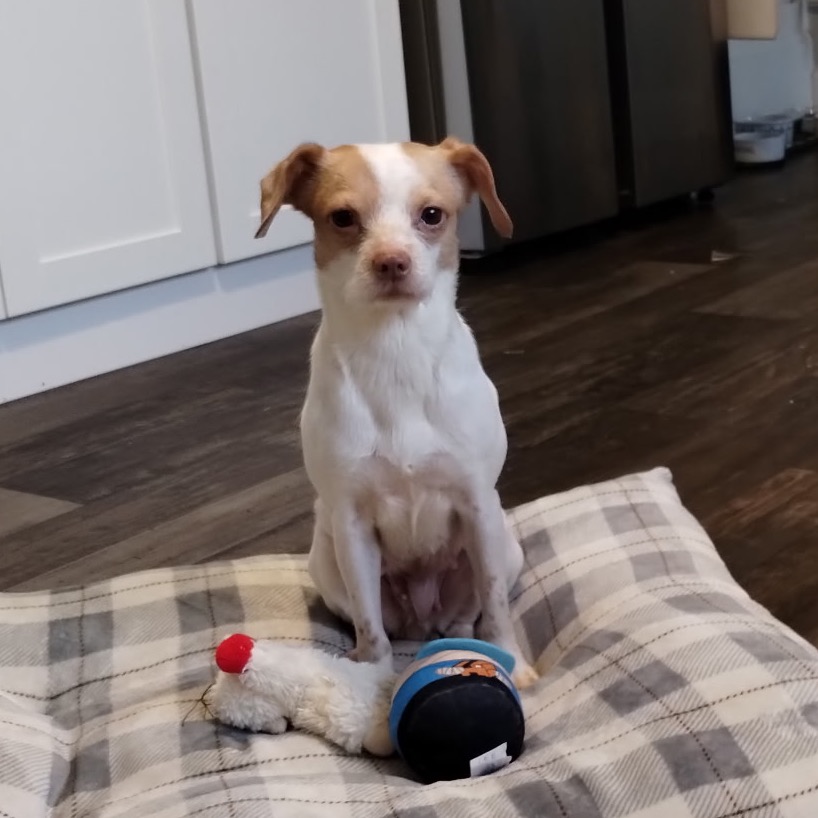 Rosaleen — thumbnail 2