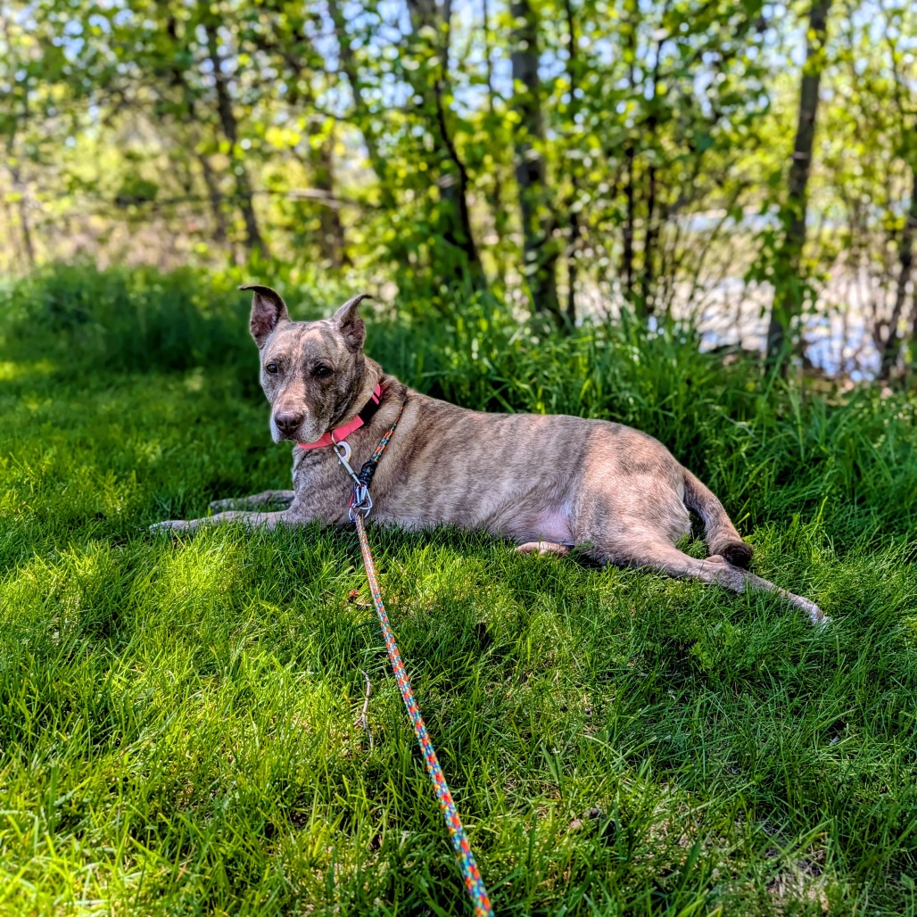 Dixie Loo, photo 22