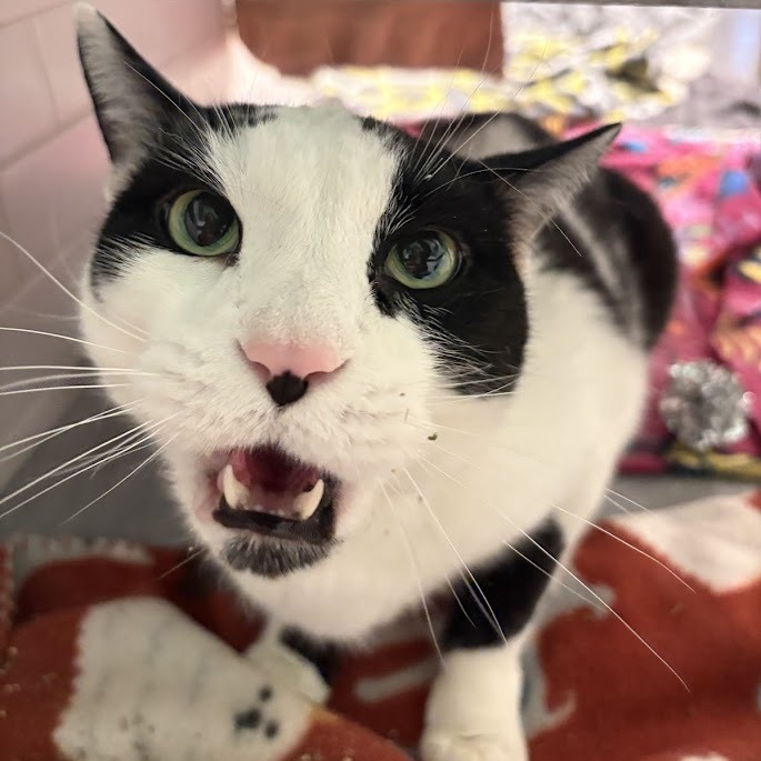 Photo of QZ and Freddy 20