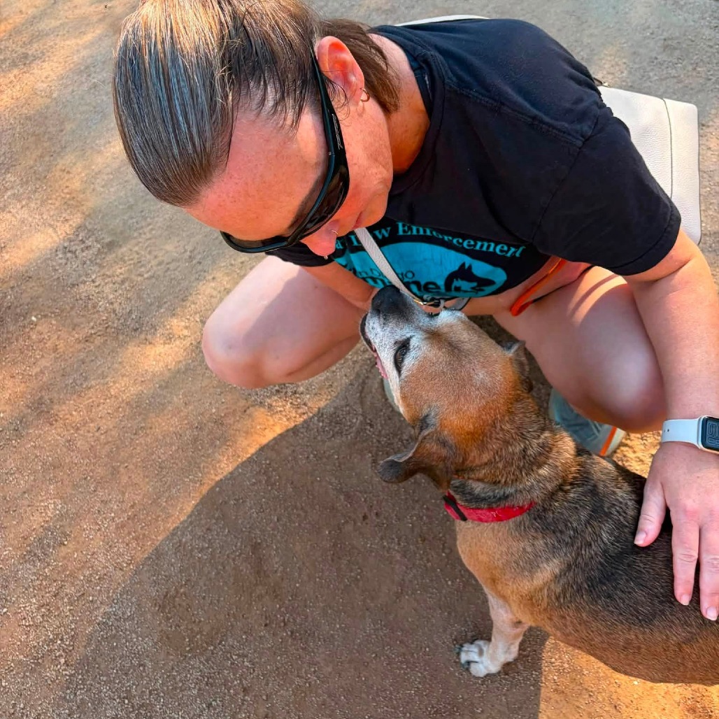 Puggle, photo 7