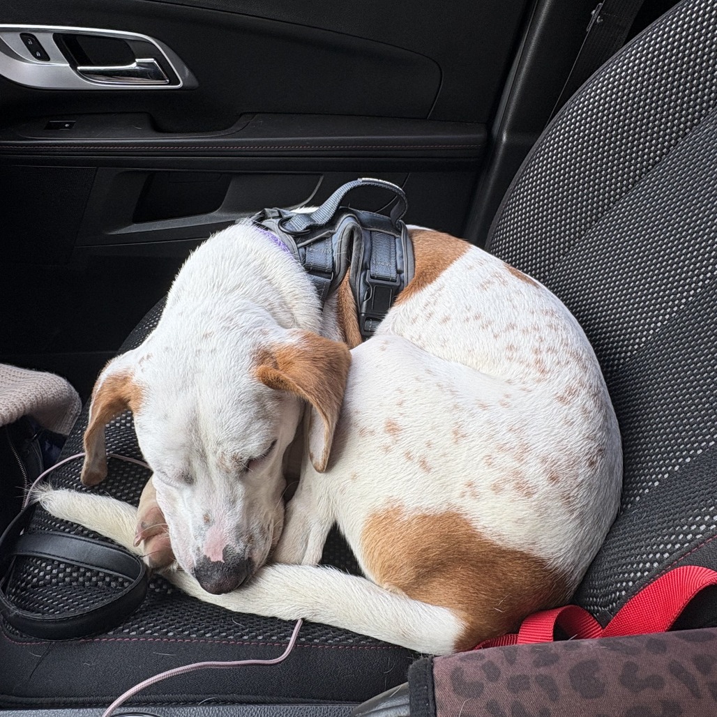 Otis, photo 14