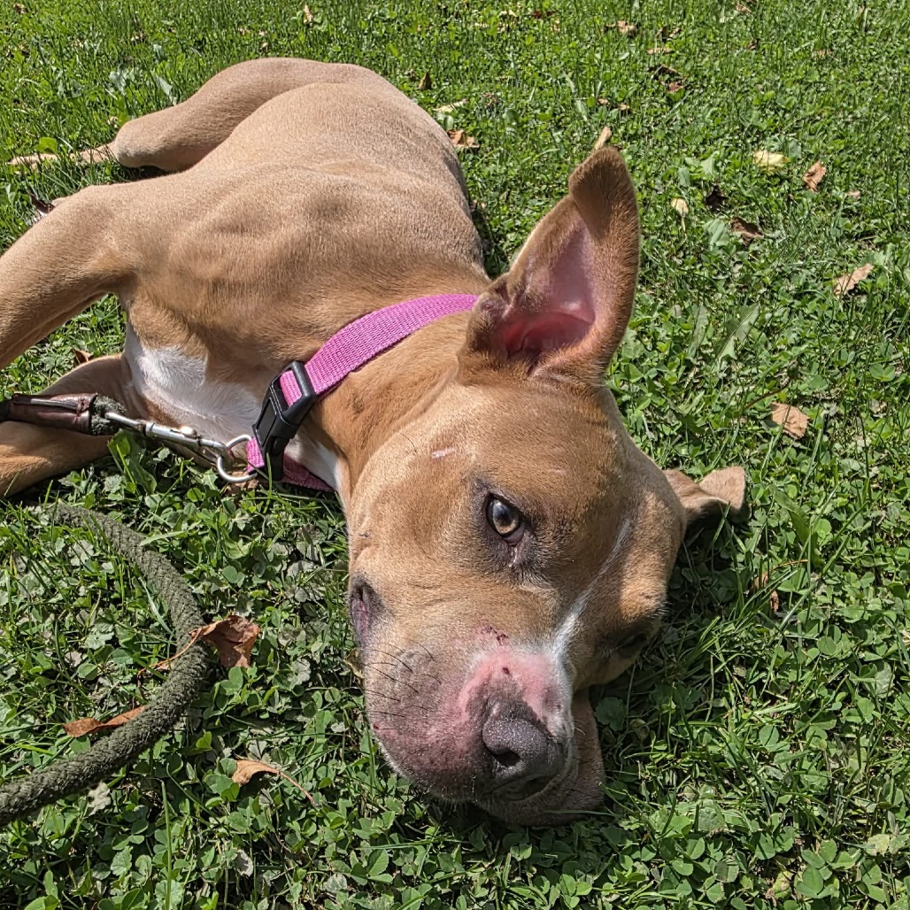 Shiloh, photo 2