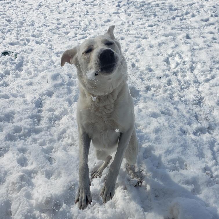Walter, photo 7 of 10