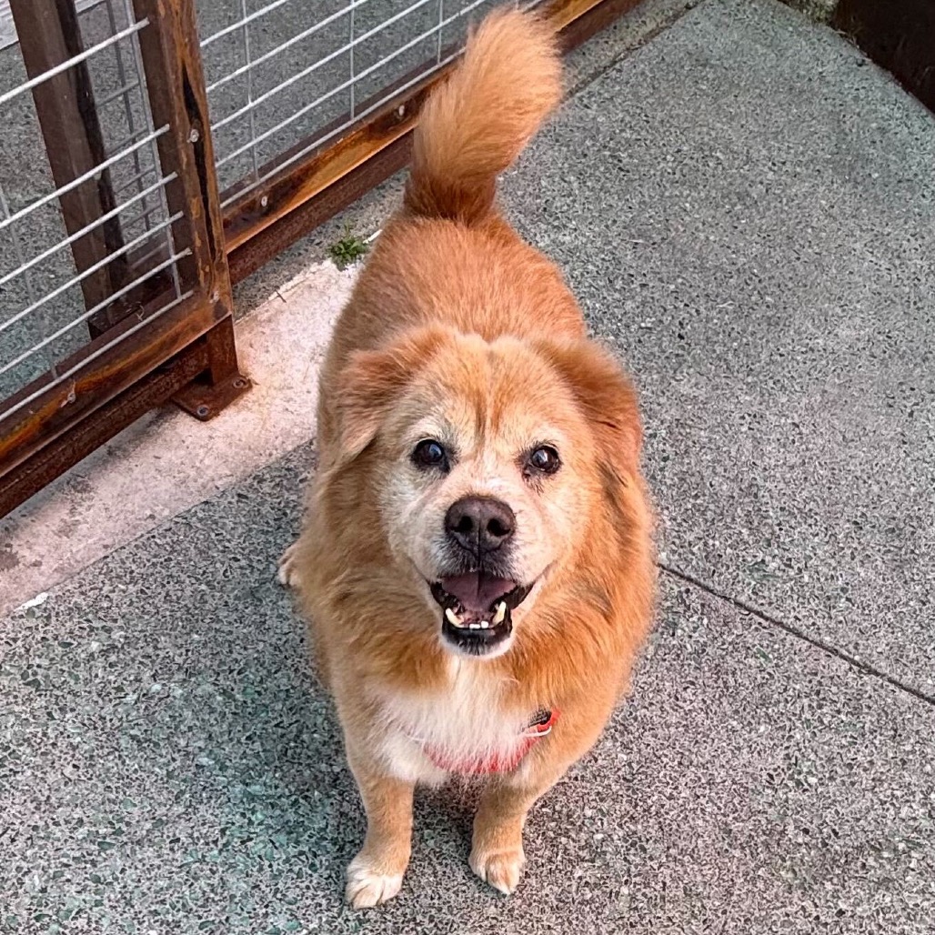 McCallister 13778 — thumbnail 4