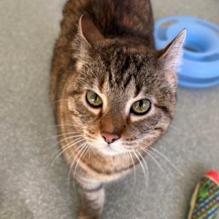 Shelli — thumbnail 3