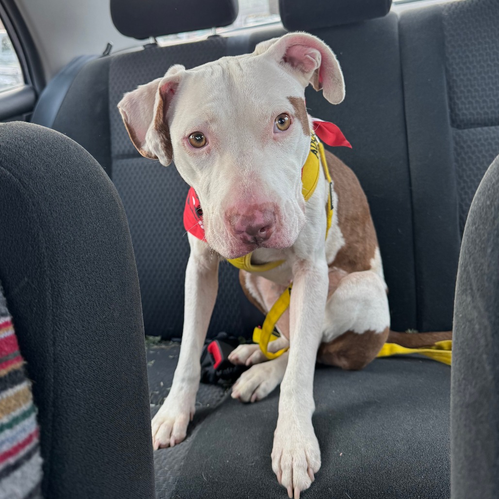 Mika — thumbnail 4