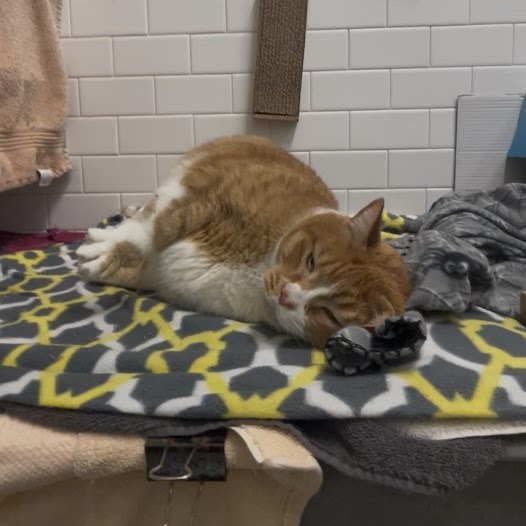 Photo of Freddy and QZ 13