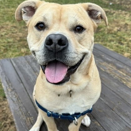 Smudge — thumbnail 7