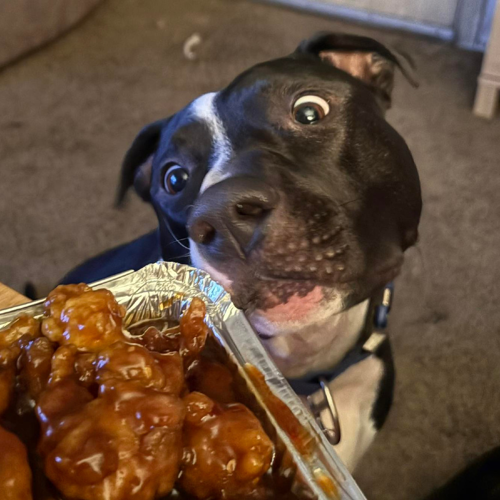 Photo of General Tso 80