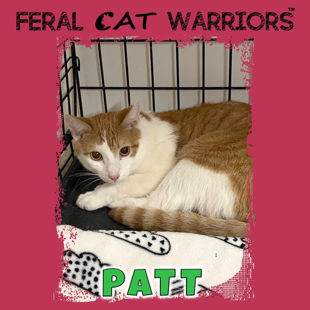 Patt 