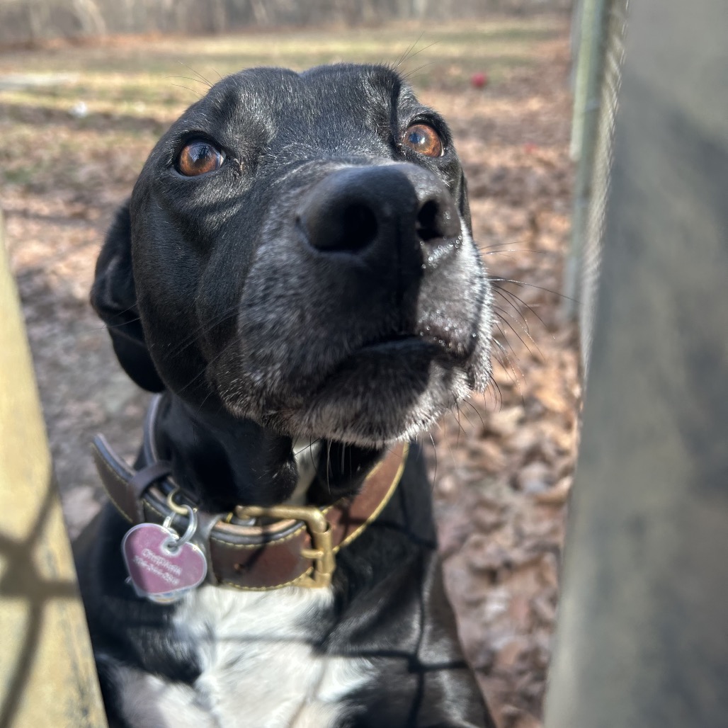 Missy — thumbnail 3