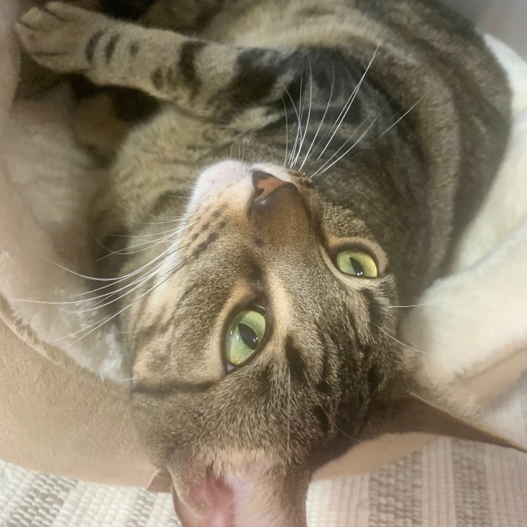 Full body shot of Jax