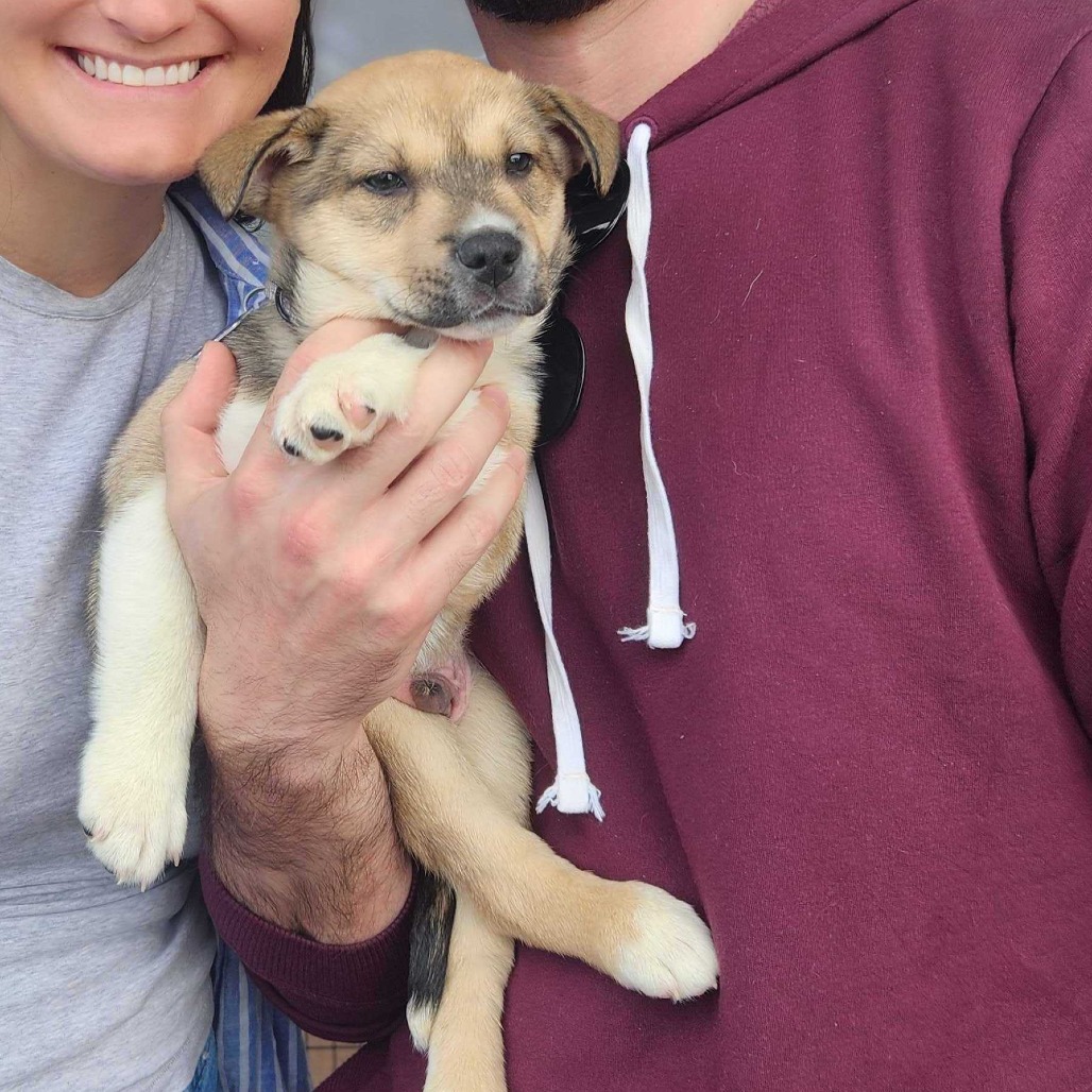 Beignet — thumbnail 2