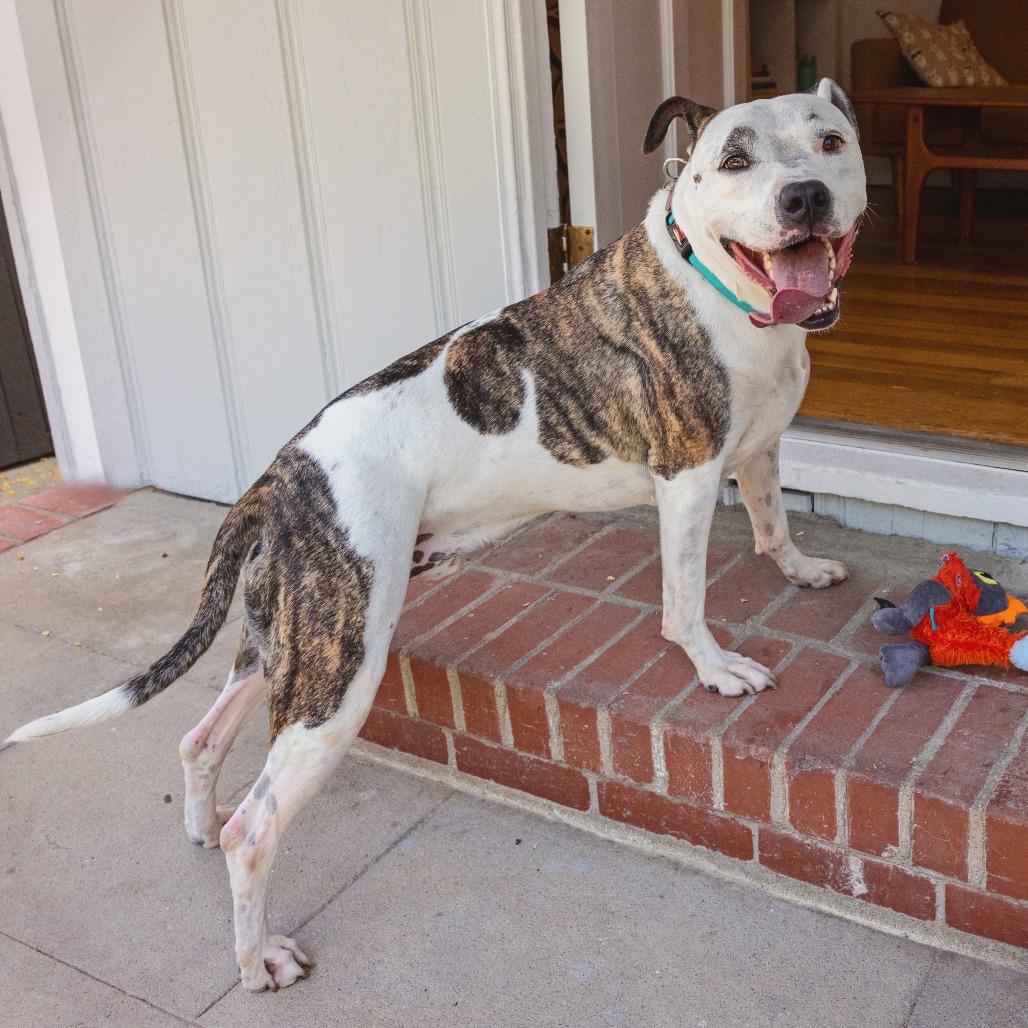 Rudy, photo 29