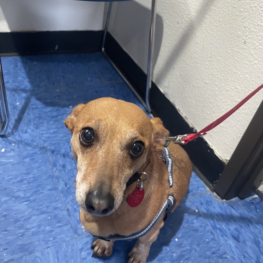 Sam Bonded with Cooper