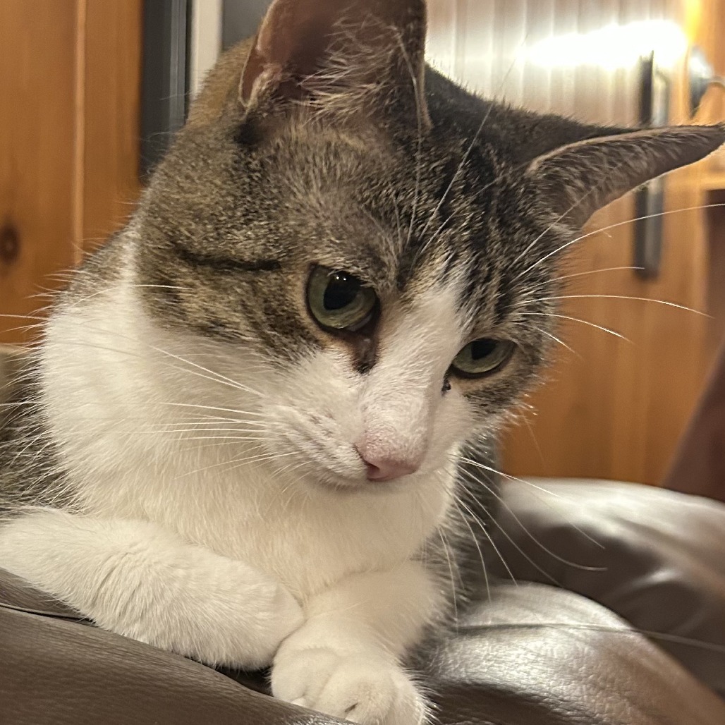 Gigi, photo 9