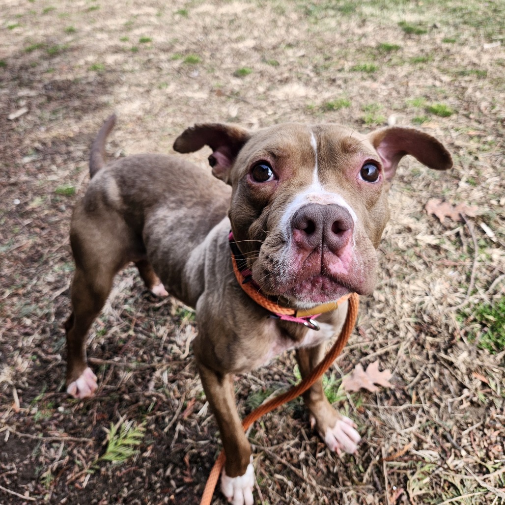 Kaspian — thumbnail 4