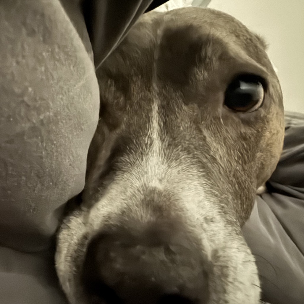 Luna may