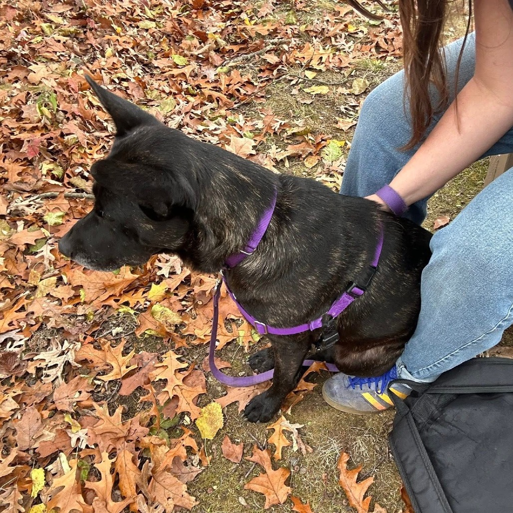 Photo of Catalina 21