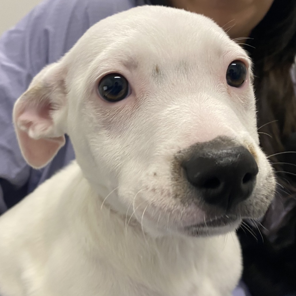 Banana — thumbnail 2