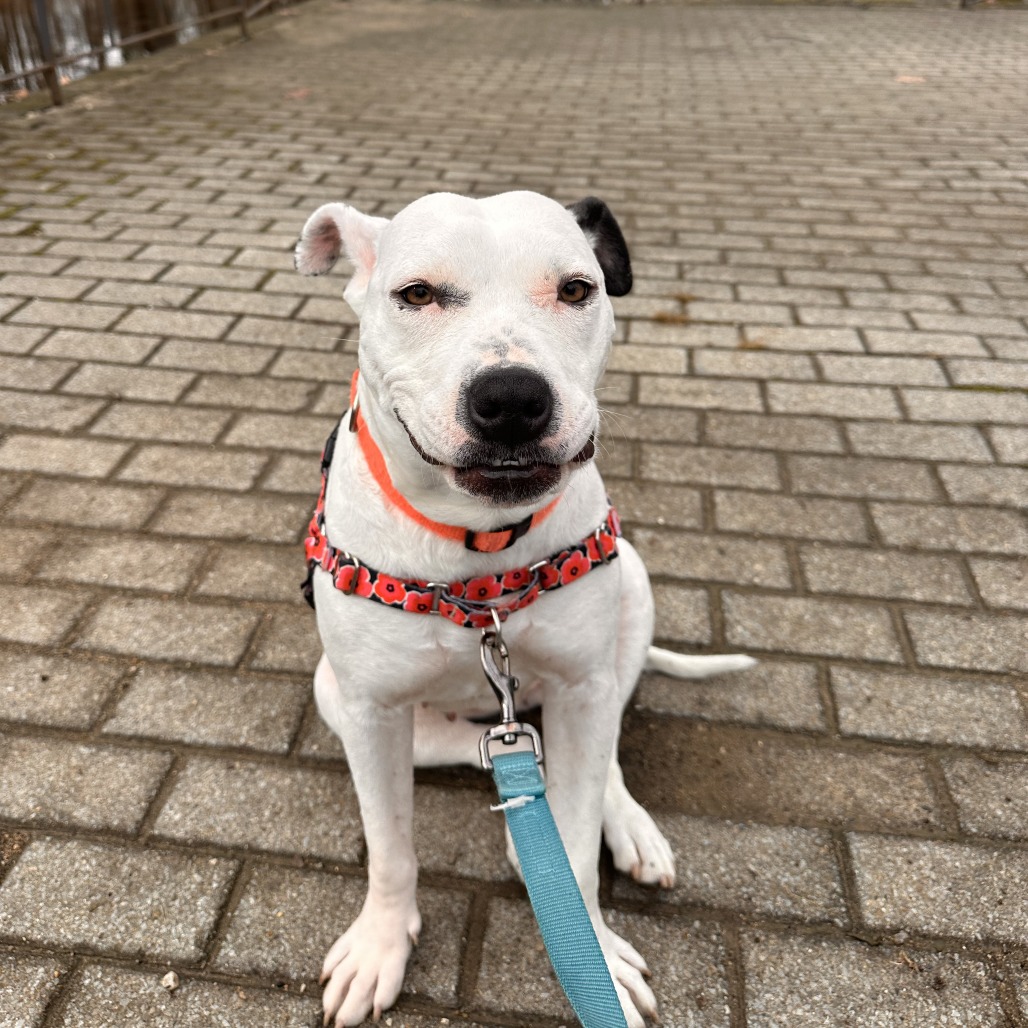 Flaca — thumbnail 8