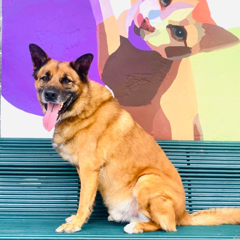 Photo of Sampson playing