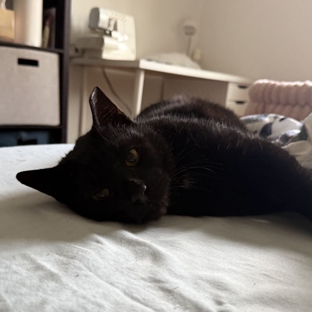 Lloyd — thumbnail 2