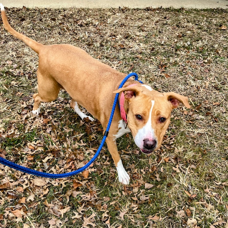 Kaycee — thumbnail 3