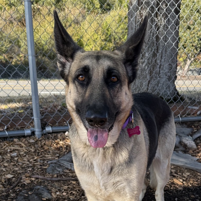 Chloe