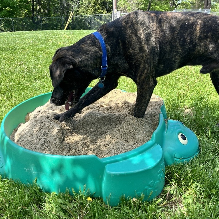 Earl, photo 23