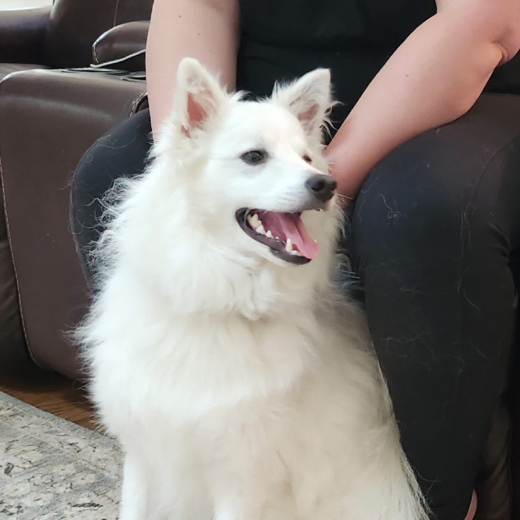 Kumo, photo 5 of 9