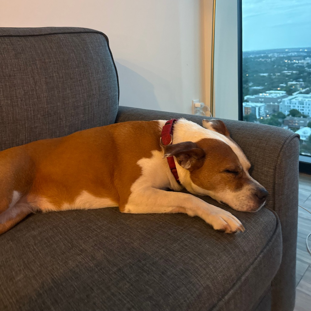 Daisy, additional photo