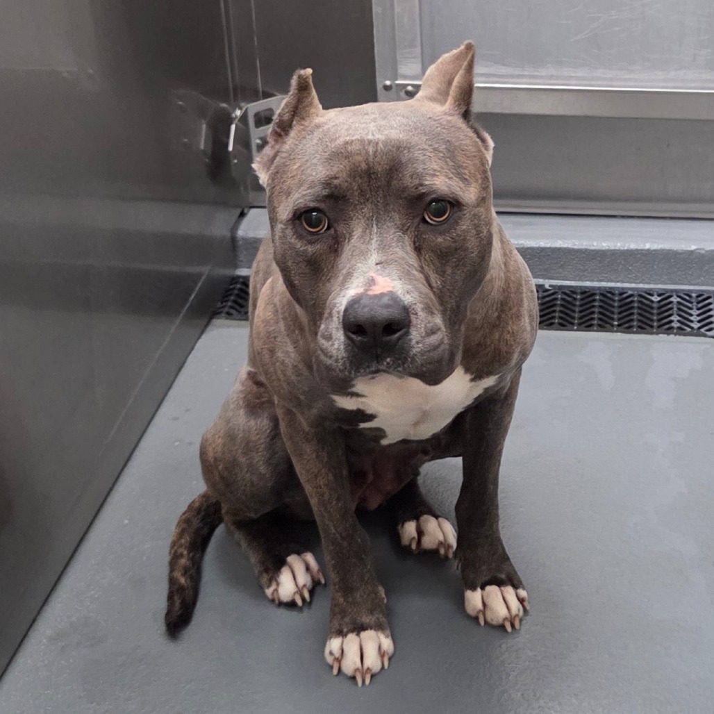 Rain — thumbnail 8