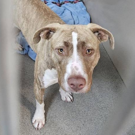 Kennel#26 Sadie's preview photo