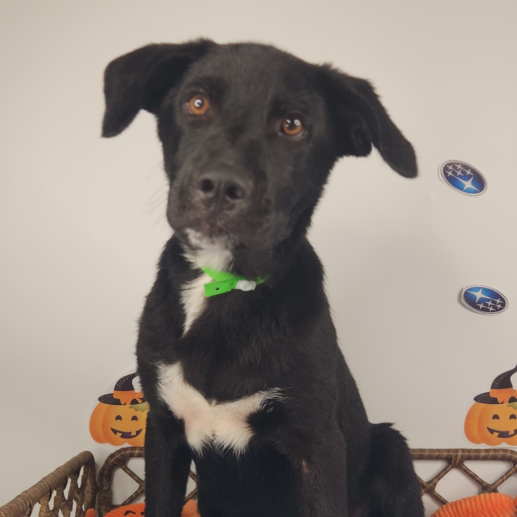 Max