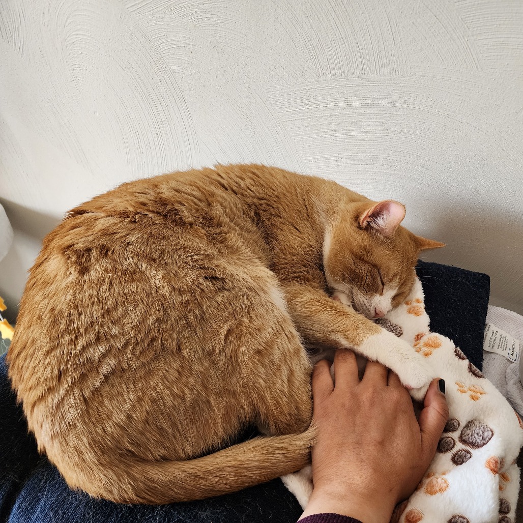 Photo of Heffalump 6