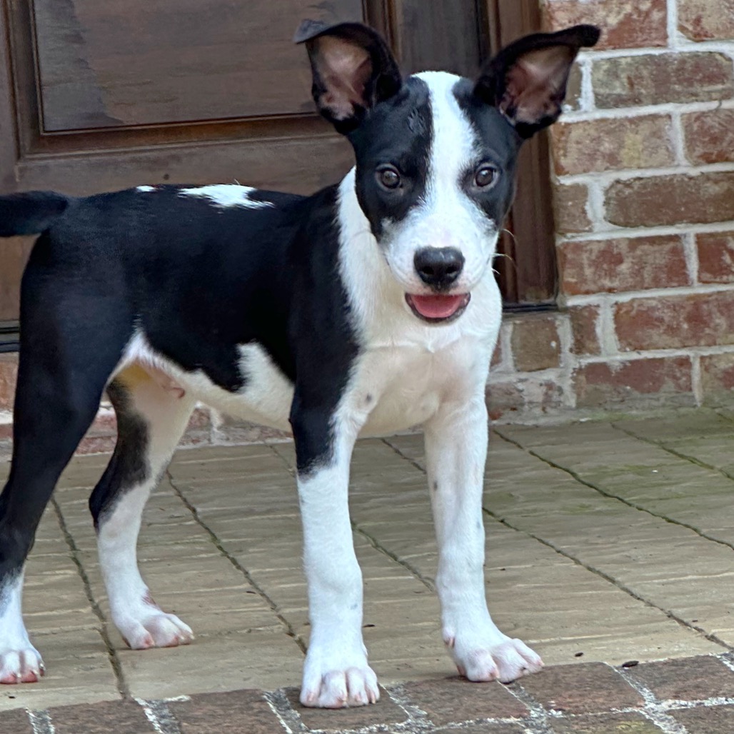 Larry — thumbnail 2