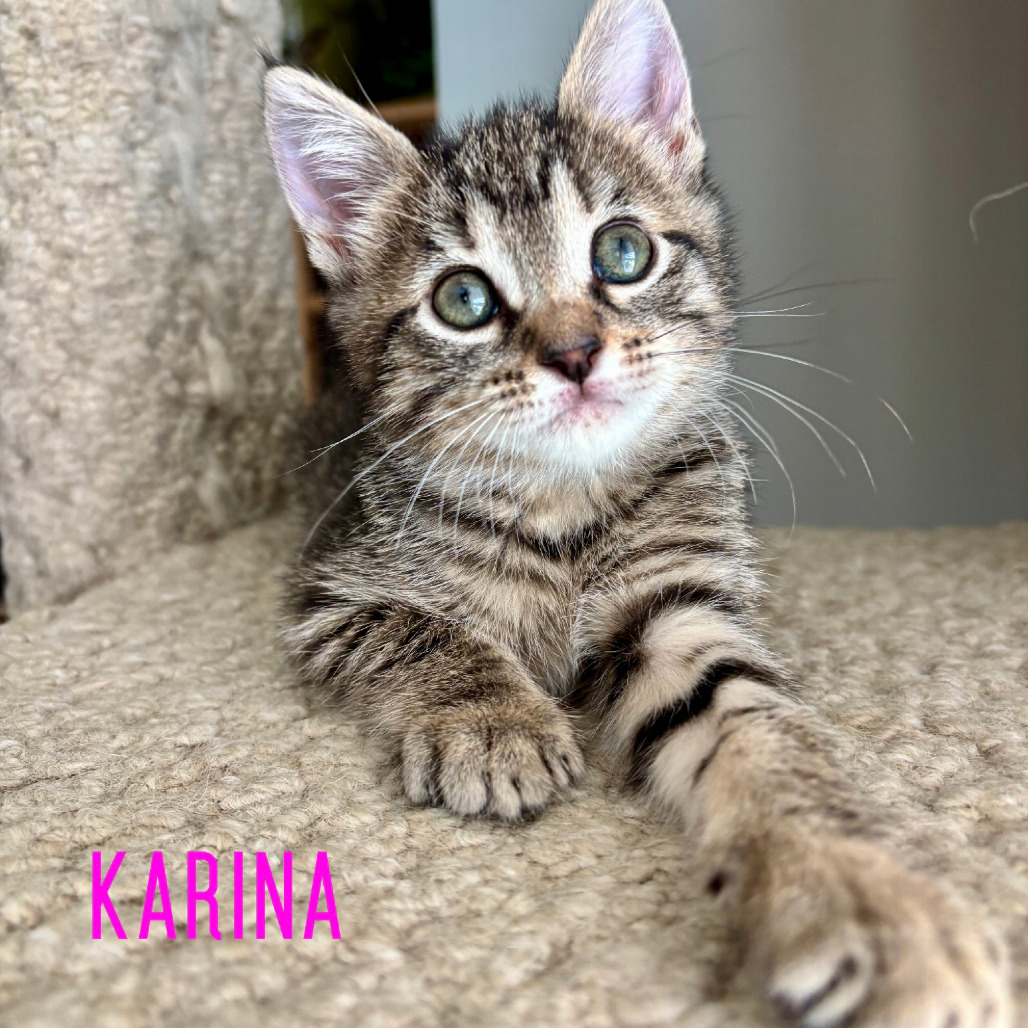 Karina, photo 2