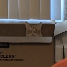 Hot Honey picture #8