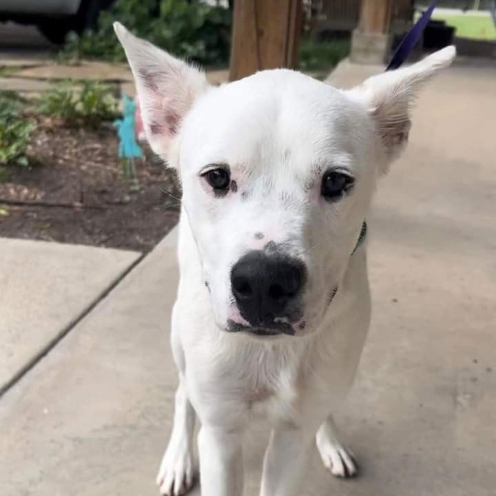 Photo of Oakley