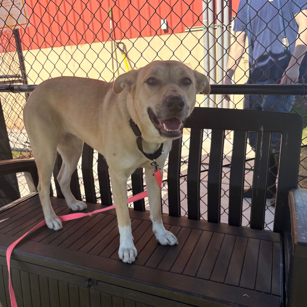 Storm — thumbnail 4