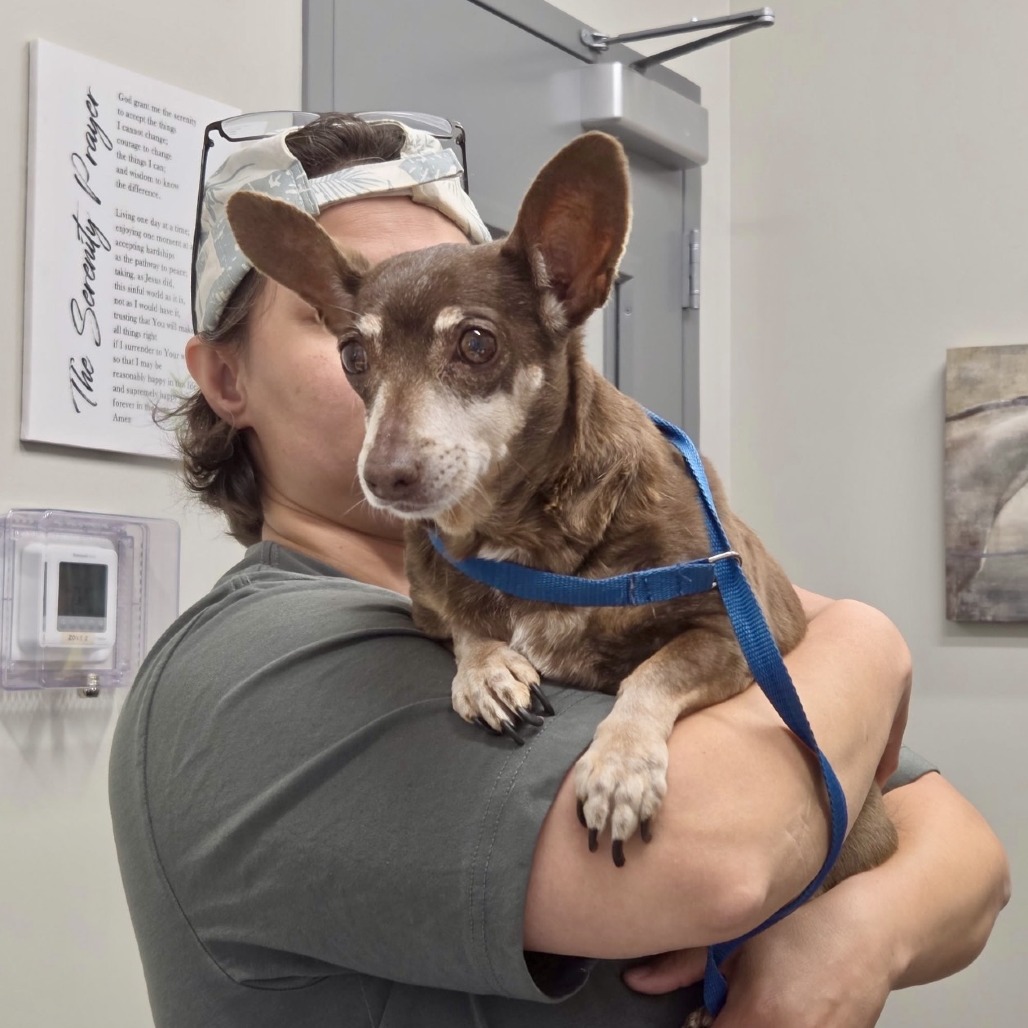Coco 04-2822, photo 2