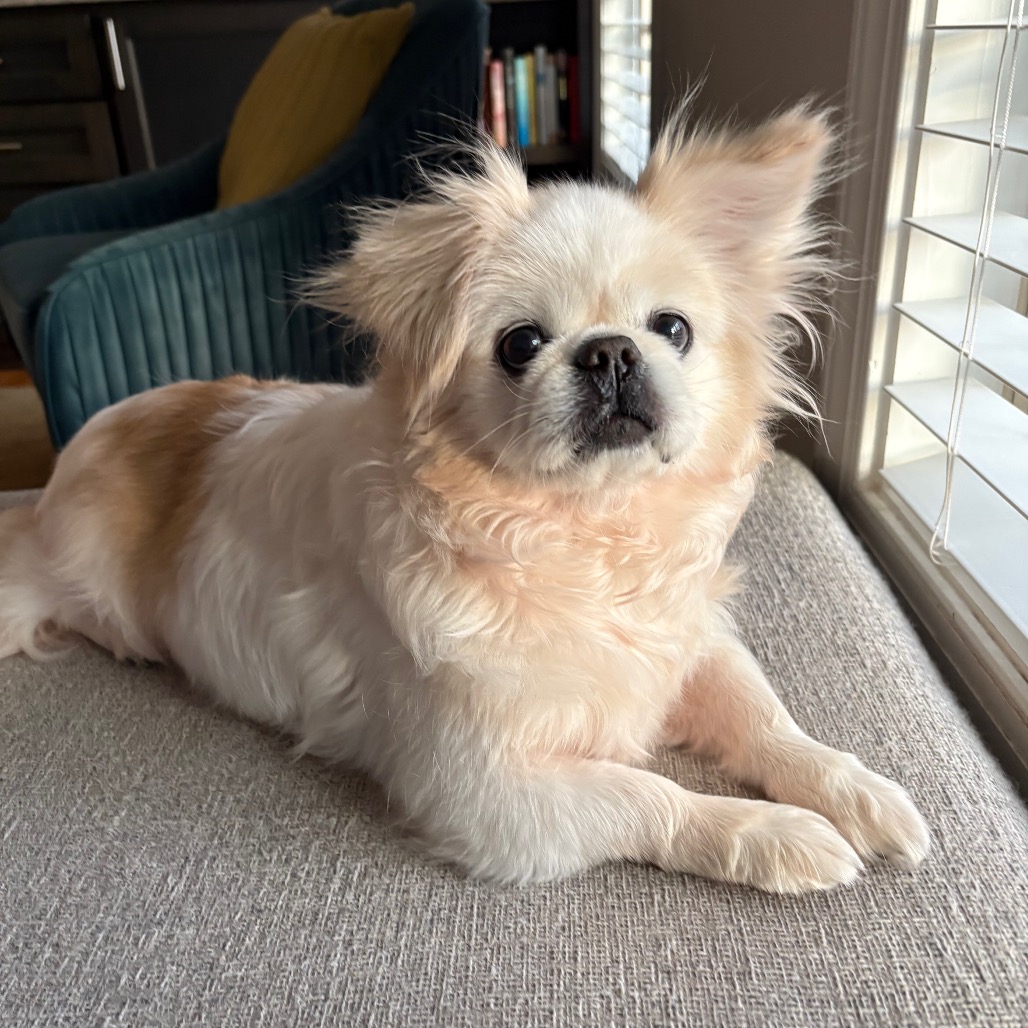 Coco — thumbnail 2