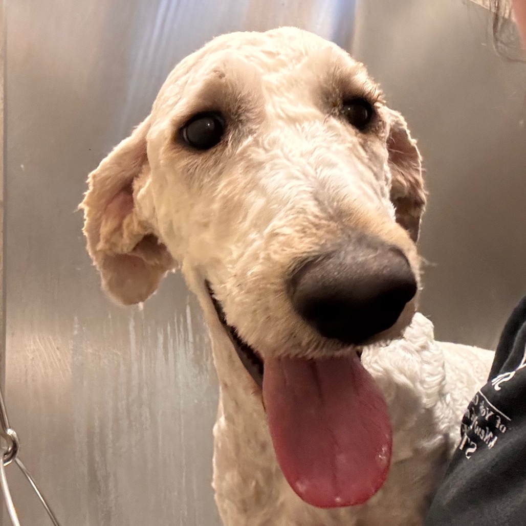 01ea0fa140c32a18616478b9e94db91b