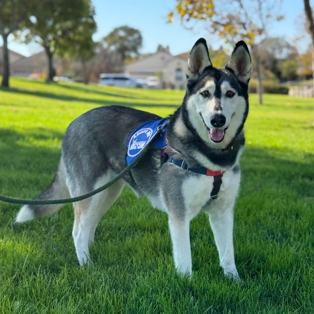 Tundra, photo 16