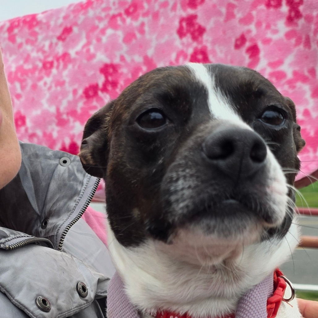 LENA — thumbnail 3