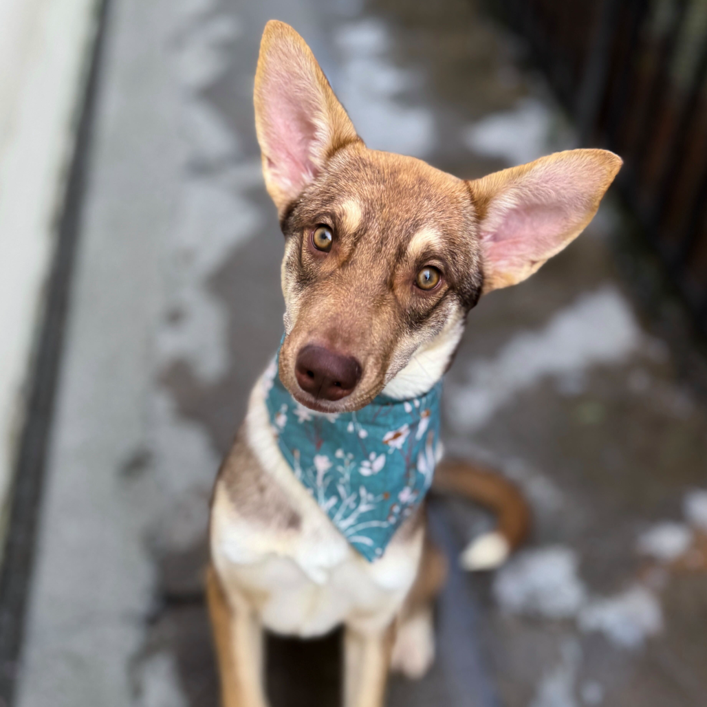 Ricky — thumbnail 3