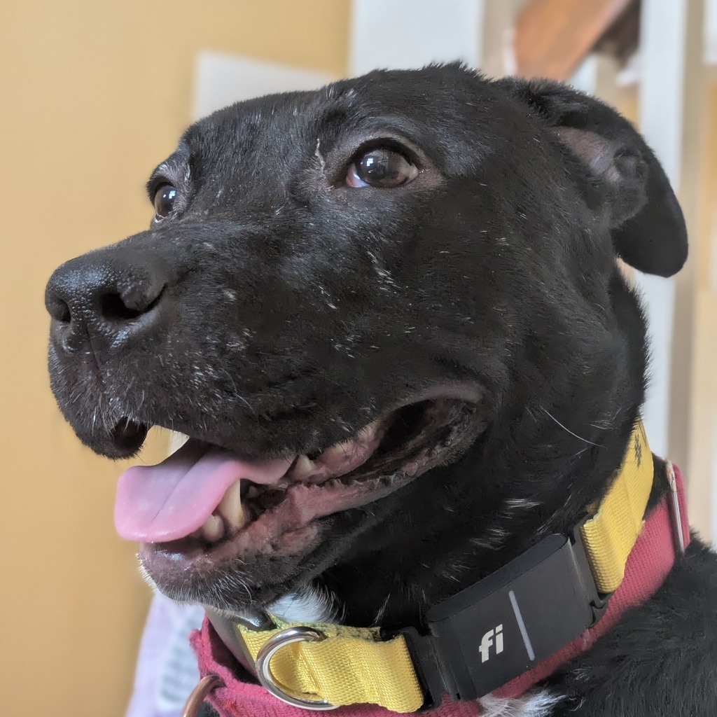 Photo of Princess 10