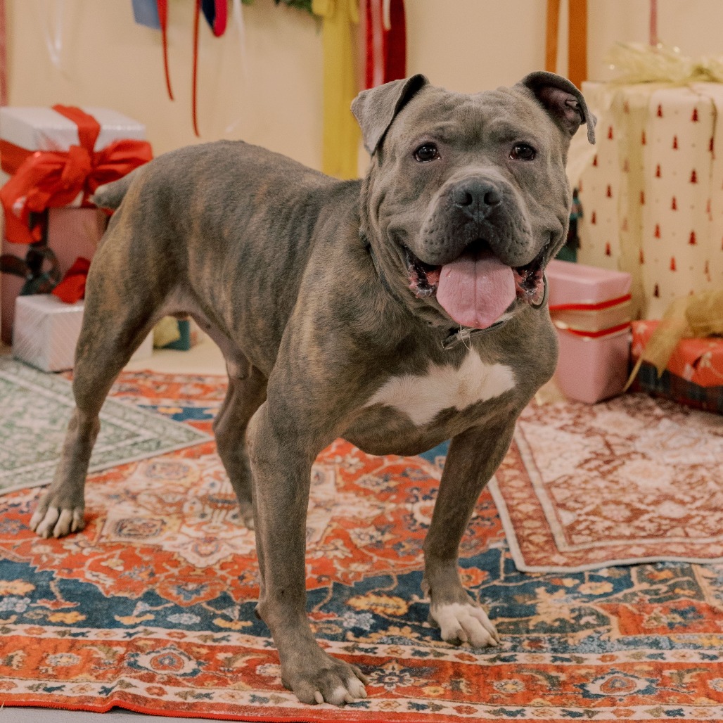 The Abominable Snowman